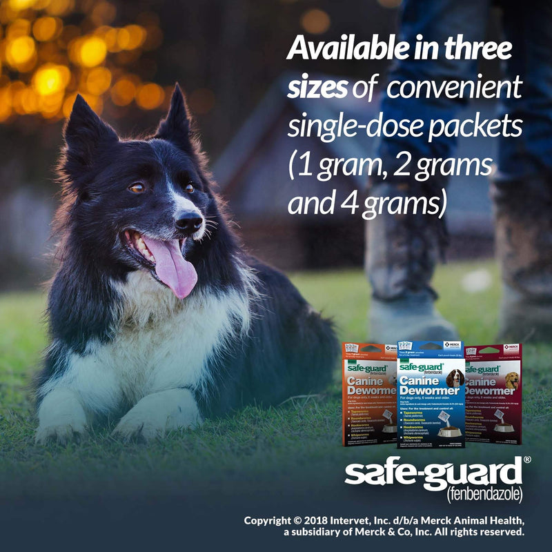 Safe-Guard (fenbendazole) Canine Dewormer for Dogs, 4gm pouch (ea. pouch treats 40lbs.) - PawsPlanet Australia