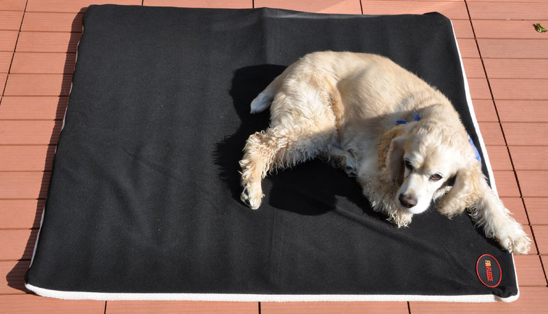 [Australia] - Pet Therapy Therapeutic Reversible Dog Crate Mattress Fleece and Zipper, Medium/30" x 20" 