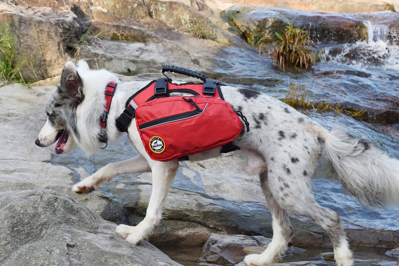 [Australia] - Lifeunion 2 in 1 Service Dog Harness Saddlebags Backpack with 2 Removable Packs for Hiking Camping Travel Pack Outdoor Accessory S 