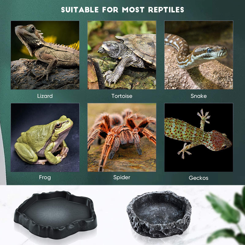 3 Pieces Reptile Water Dish Food Bowl Set Includes 2 Resin Reptile Rock Bowl Food Feeder Bowl Water Bowl 1 Feeding Tweezer Tong Reptile Rock Feeder for Pet Tortoise Lizard Frog Gecko Snake Chameleon - PawsPlanet Australia