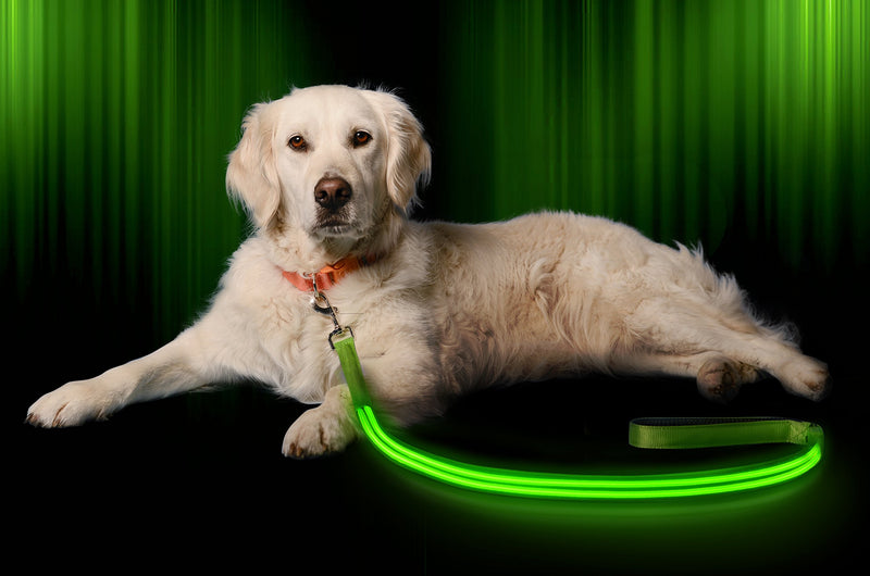 Illumiseen LED Dog Leash - USB Rechargeable - Available in 6 Colors & 2 Sizes - Makes Your Dog Visible, Safe & Seen 6 Feet Neon Green - PawsPlanet Australia