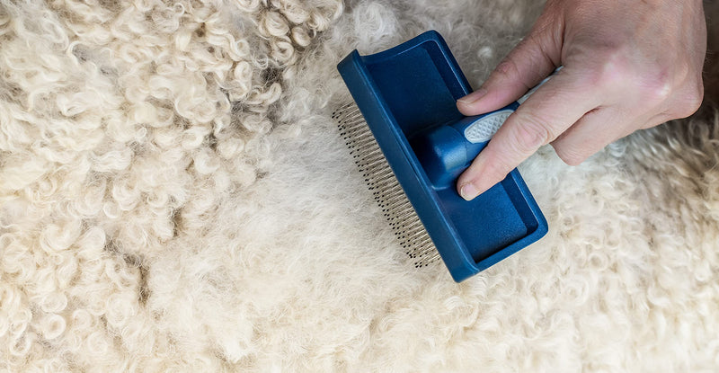 Mikki Slicker brush for smoothing dog and puppy fur, even during shedding, for Poodle crosses such as Cockapoos, Labradoodles, Cavapoos, Maltipoos and Golden Doodles - PawsPlanet Australia