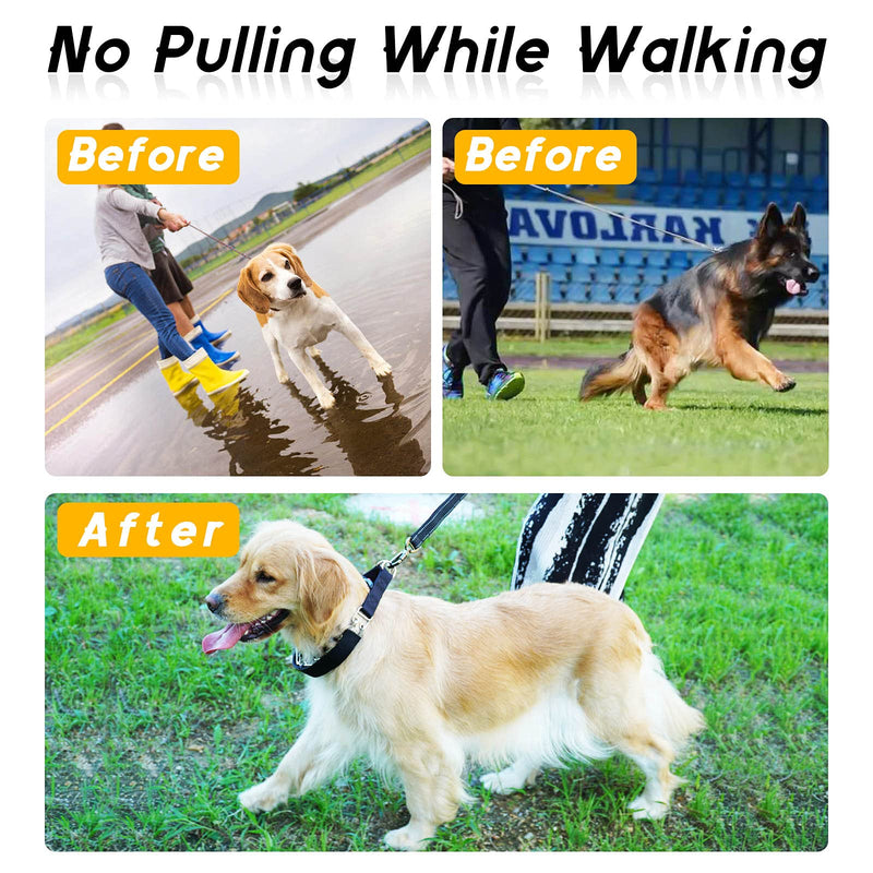 Wiotar Dog Prong Collar, Dog Choke Pinch Training Collar, Adjustable Stainless Steel Links with Comfort Rubber Tips, Quick Release Snap Buckle for Medium Large Dogs (Packed with 8 Extra Tips) M(Neck:14''-18''-- Weight: around 50 lbs) Black Cover - PawsPlanet Australia