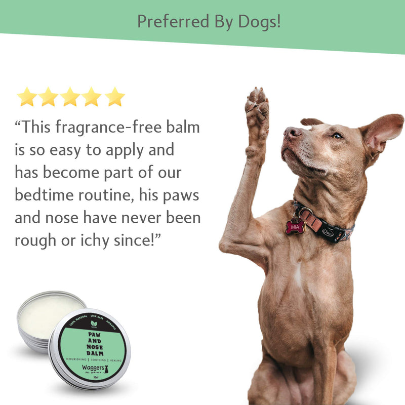 Waggers Pet Company Organic Dog Nose And Paw Balm | 100% Natural | Relieve and Prevent Cracked Paws And Itchy Nose | Lick Safe Paw Cream And Fragrance-Free Wax Balm - PawsPlanet Australia