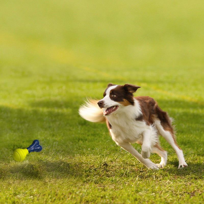 [Australia] - Nylabone Power Play Fetch-A-Bounce Soft Bouncy Ball Dog Toy, Power Play Rubber Dog Toy Fetch-a-Bounce, 5", Blue 