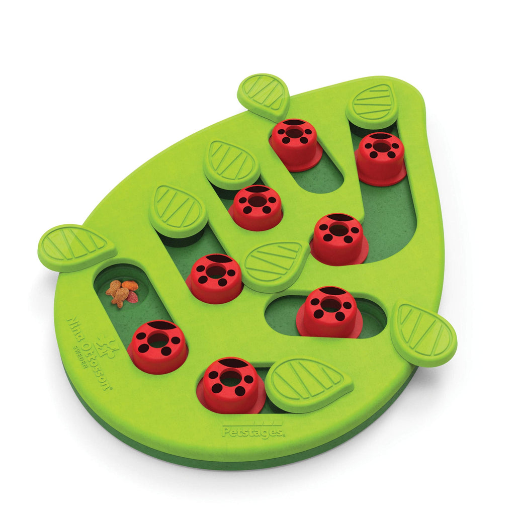 Nina Ottosson from Petstages Buggin Out Puzzle & Play - Interactive cat toy for treats Treat Puzzle - PawsPlanet Australia