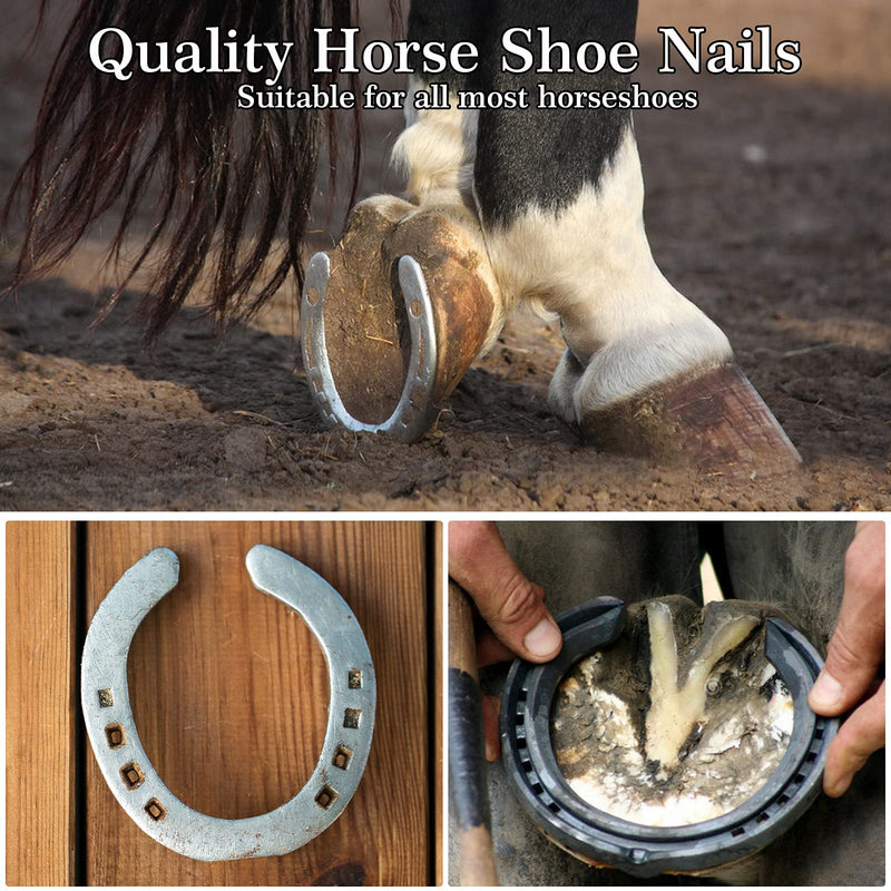 JZHBEI 40PCS Steel Horseshoe Nails, Stainless Steel Horseshoe Tools, for Horse Training Equestrian Sports, E3/1.78 Inch, E4/1.87 Inch, E5/2 Inch, E6/2.13 Inch - PawsPlanet Australia