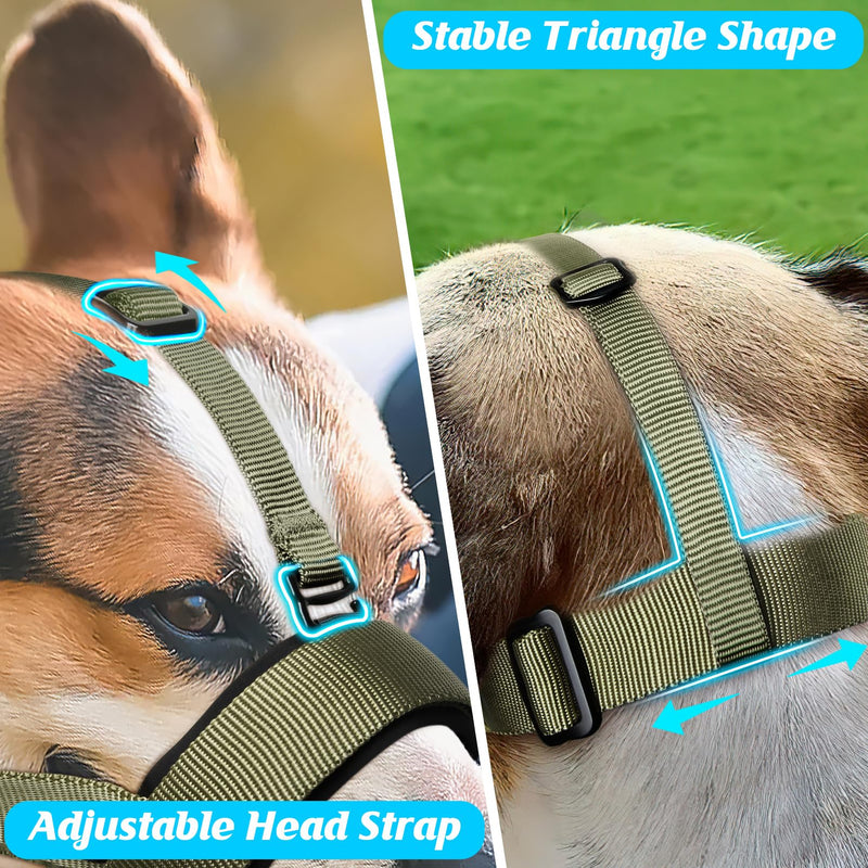 HEELE Muzzle for Dogs with Head Strap Dog Muzzle Soft Padded No More Rubbing Dog Muzzle Adjustable Loop Dog Muzzle Anti Chewing Muzzle for Large Medium Dogs, Green, MM (Pack of 1) Plain Green - PawsPlanet Australia