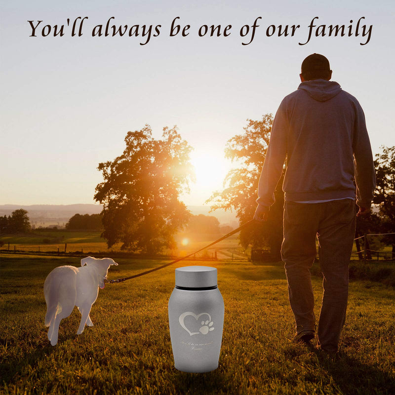 Amzlion Pet Urns for Dogs Ashes, Pet Urns for Cats,Dog Urn,Cat Urn,Memorial Ashes Urn,Cremation Urns for Dog,Urn Burial-Pet Sweetheart Paw Print/Tree of Eternal Life Medium-Heart Grey - PawsPlanet Australia