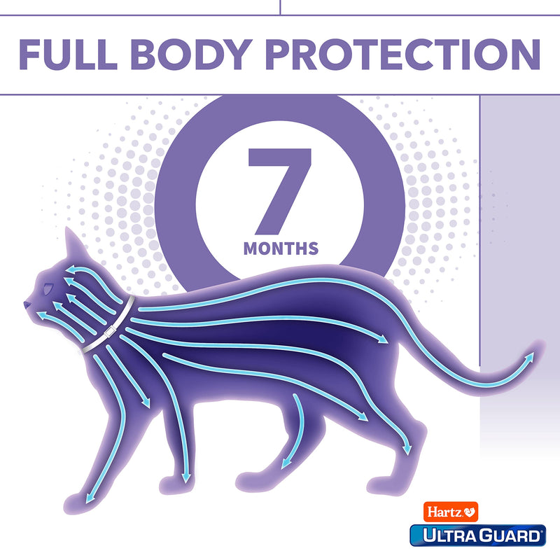 Hartz UltraGuard Flea & Tick Collar for Cats and Kittens, 7 Month Flea and Tick Protection and Prevention, White - PawsPlanet Australia