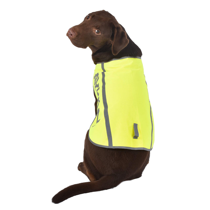 AYKRM Pet Dog Hi Viz Fluorescent High Visibility Safety Vest Coat dog coats (2XL, Yellow) - PawsPlanet Australia