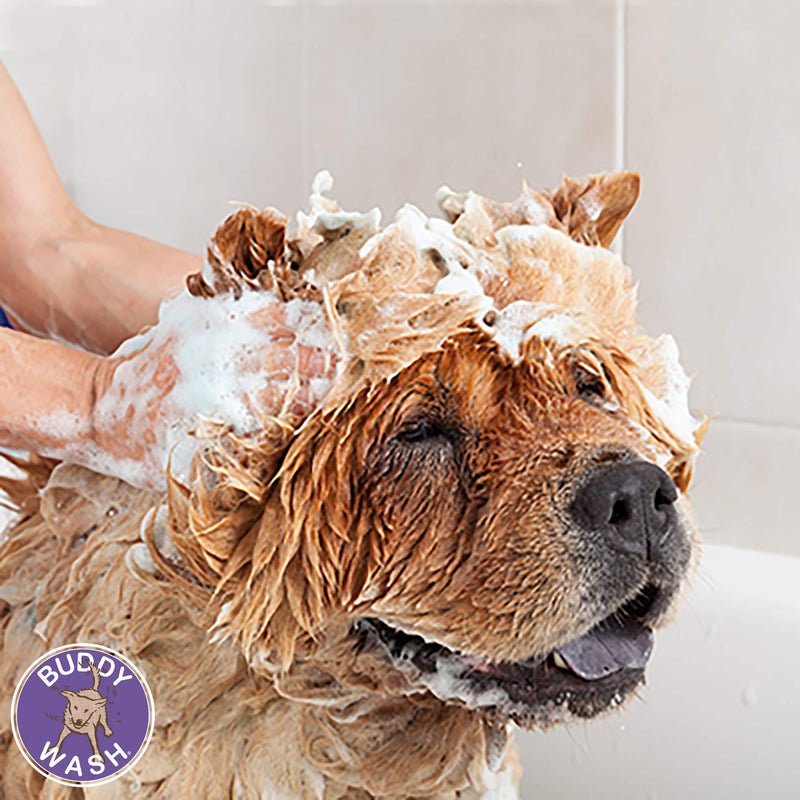 [Australia] - Buddy Wash Dog Shampoo & Conditioner for Dogs with Botanical Extracts and Aloe Vera Lavender & Mint 16 Fl Oz 