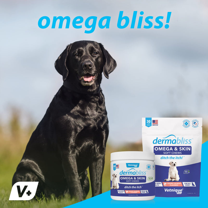 Dermabliss Omega & Skin Chews for Dogs with Omega 3-6-9, EPA, DHA, Biotin for Healthy Skin & More - Hickory Salmon Flavored Dog Treats - Ditch The Itch by Vetnique Labs 60ct - PawsPlanet Australia