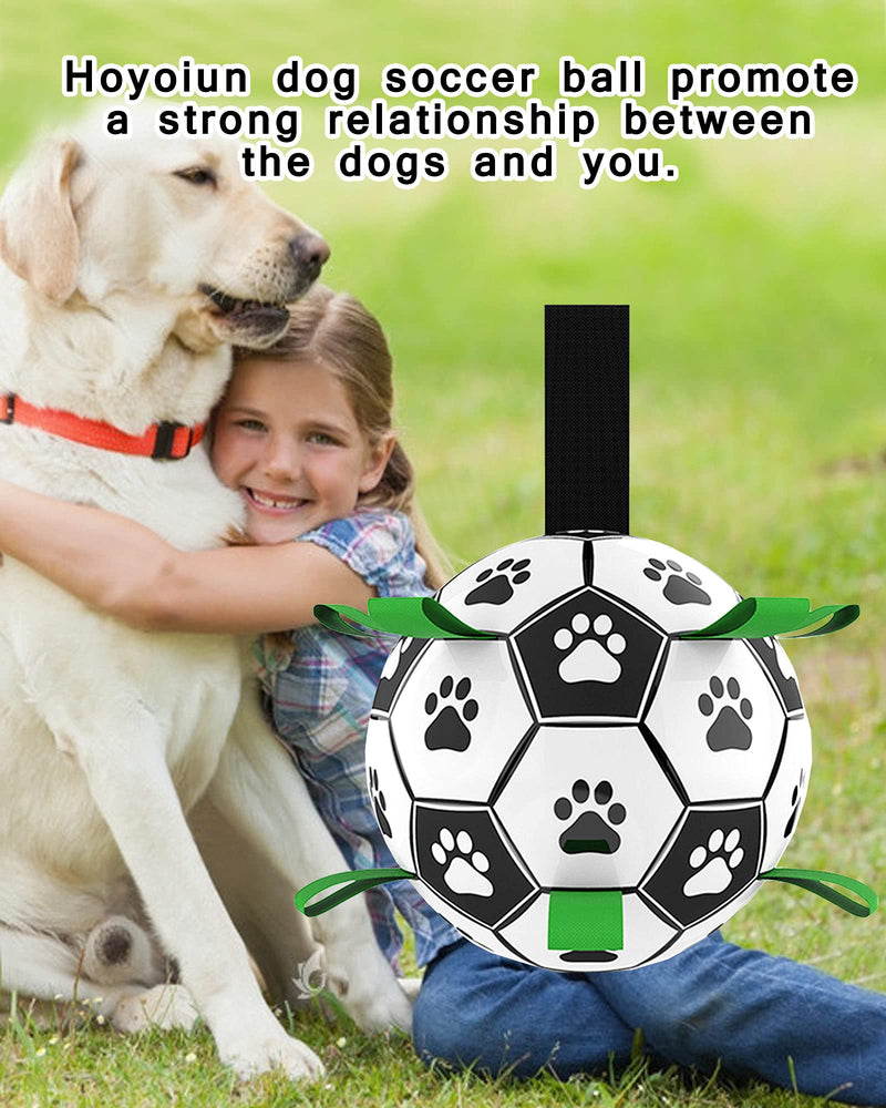 Dog-Soccer Ball-Interactive Water Toys-Tug of War-Dog Tug Toy Football for Small Medium Dogs-Dog Toys - PawsPlanet Australia