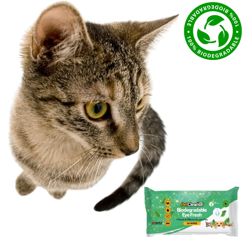 Pet Eye Wipes for Your Dogs Puppies Cats & Kittens: Daily Big Wet Cleaning Wipes for Dirt, Crusty Discharge & Tear Stains: 50 Large Wet Wipes Pack with Aloe Vera (3 Packs) 3 Packs - PawsPlanet Australia