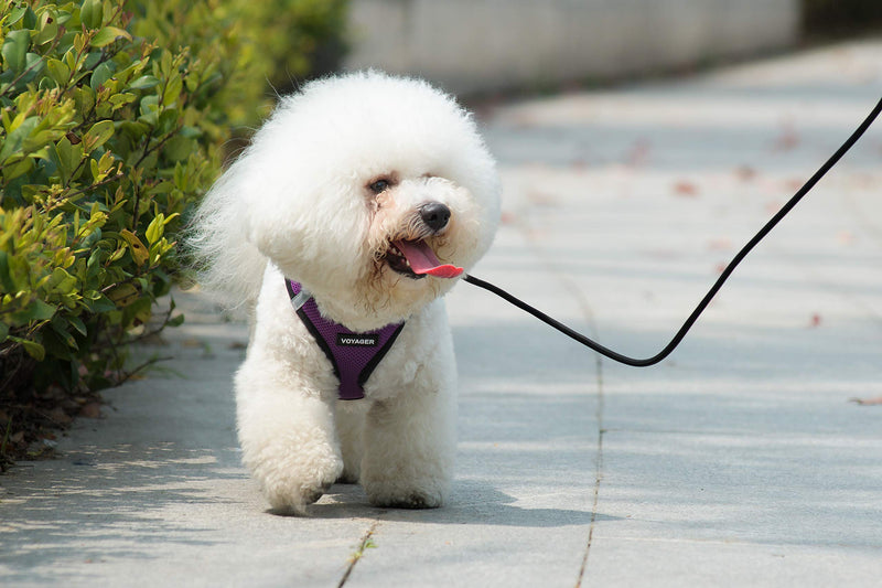 [Australia] - Voyager Step-In Air Pet Harness – All Weather Mesh, Step In Vest Harness for Small Dogs and Cats by Best Pet Supplies S (Chest: 14.5 - 17") Blue Base 