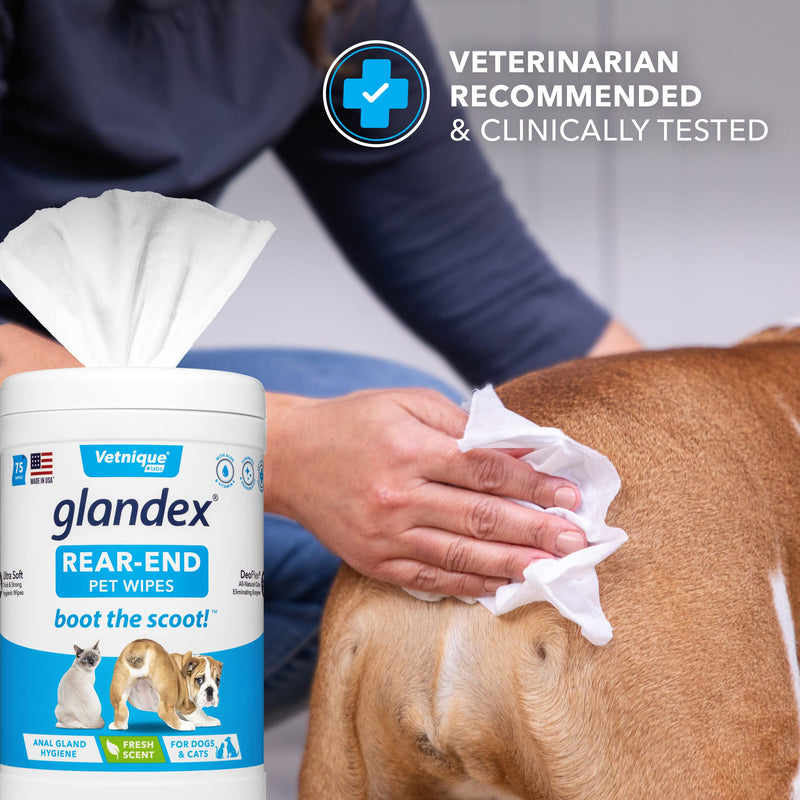 Glandex Dog Wipes for Pets Cleansing & Deodorizing Anal Gland Hygienic Wipes for Dogs & Cats with Vitamin E, Skin Conditioners and Aloe - by Vetnique Labs 24ct Pouch - PawsPlanet Australia