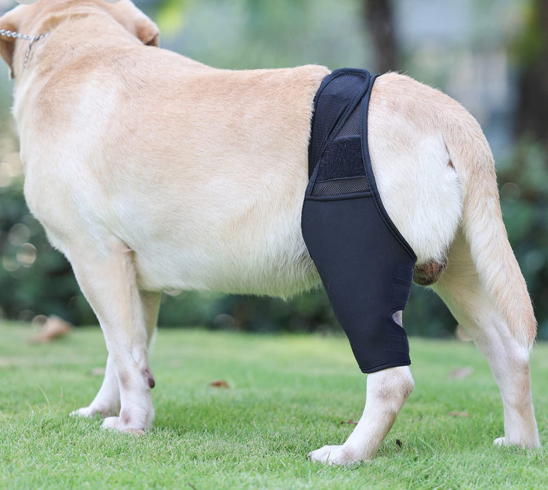 Komate Pet Dog Leg Support Brace Canine Front Back Hind Leg Wrap Elbow Brace Protector Dog Knee Hock Joint Leg Sleeve Recovery Sleeve Protection Loss of Stability Arthritis Relieve Pain Black (XS) XS - PawsPlanet Australia