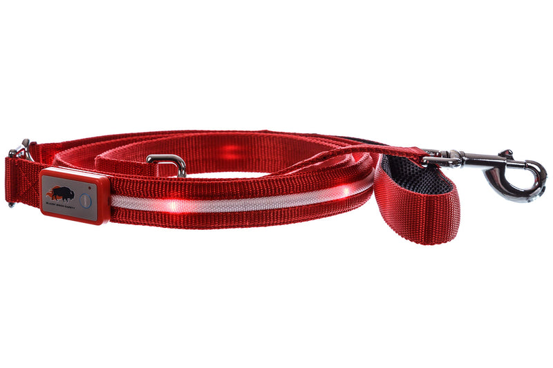 Blazin' Safety LED Dog Leash - USB Rechargeable Light, 6 Ft, Waterproof - Avoid Danger - Red - PawsPlanet Australia