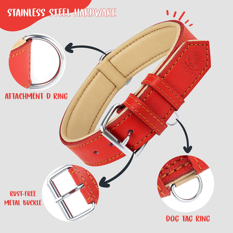Riparo Genuine Leather Adjustable K-9 Dog Collar with Additional Reinforcement (XXL: 5CM Wide for 60.9CM - 73.7CM Neck, Red) XXL - PawsPlanet Australia