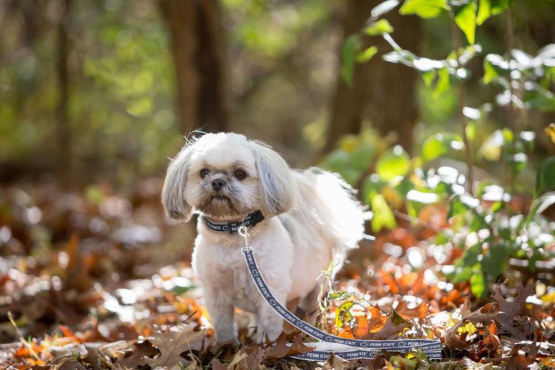 [Australia] - Pets First Collegiate Pet Accessories, Dog Leash Penn State Nittany Lions Large 