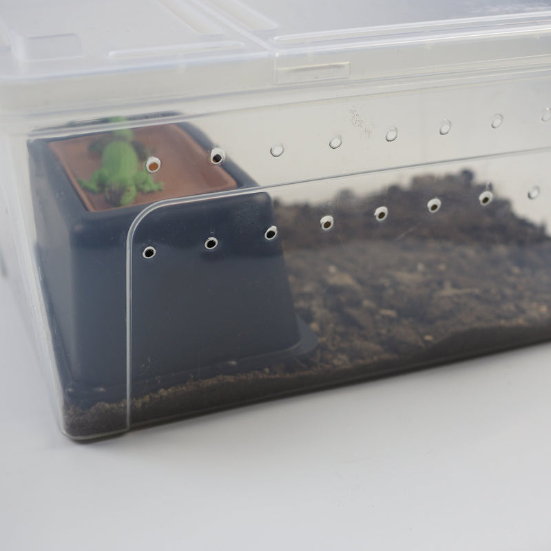 [Australia] - OMEM Reptile Hideout Box with Sink to Increase Humidity and Water Supply 