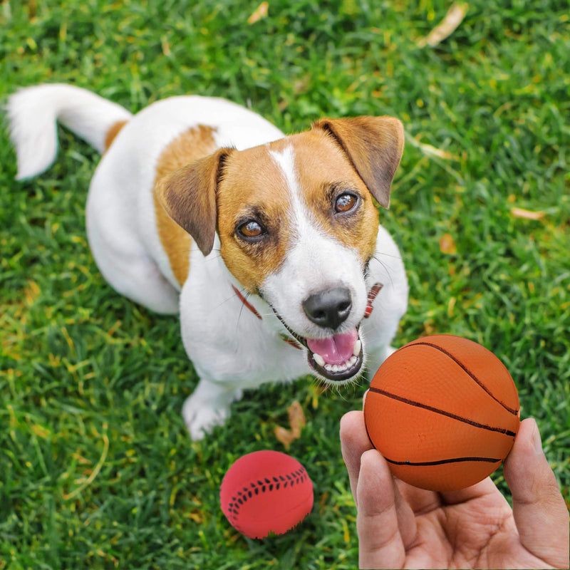 Pet Mania - 15 Mixed Premium Rubber Dog Toy Balls for Fetch & Training - PawsPlanet Australia