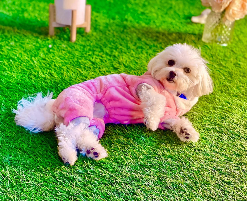 Pink Bunny Dog Outfit Pet Dogs Cats Puppy Clothes Knitwear Dog Sweater Soft Adorable Warm Pup Dogs Shirt Winter Puppy Sweater for Dogs Small - PawsPlanet Australia