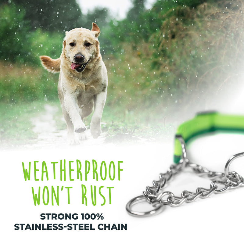 Mighty Paw Martingale Dog Collar 2.0 | Trainer Approved Limited Slip Collar with Stainless Steel Chain & Heavy Duty Buckle. Modified Cinch Collar for Gentle & Effective Pet Training S/M Green - PawsPlanet Australia