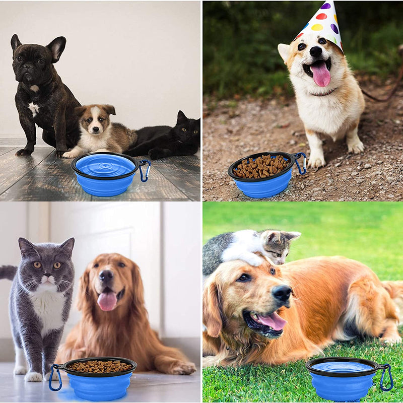 Collapsible Dog Bowl,Collapsible Dog Water Bowls for Cats Dogs, Portable Pet Feeding Watering Dish,Portable Dog Water Food Bowl with Carabiner (Small, Blue) Small(350ML) - PawsPlanet Australia
