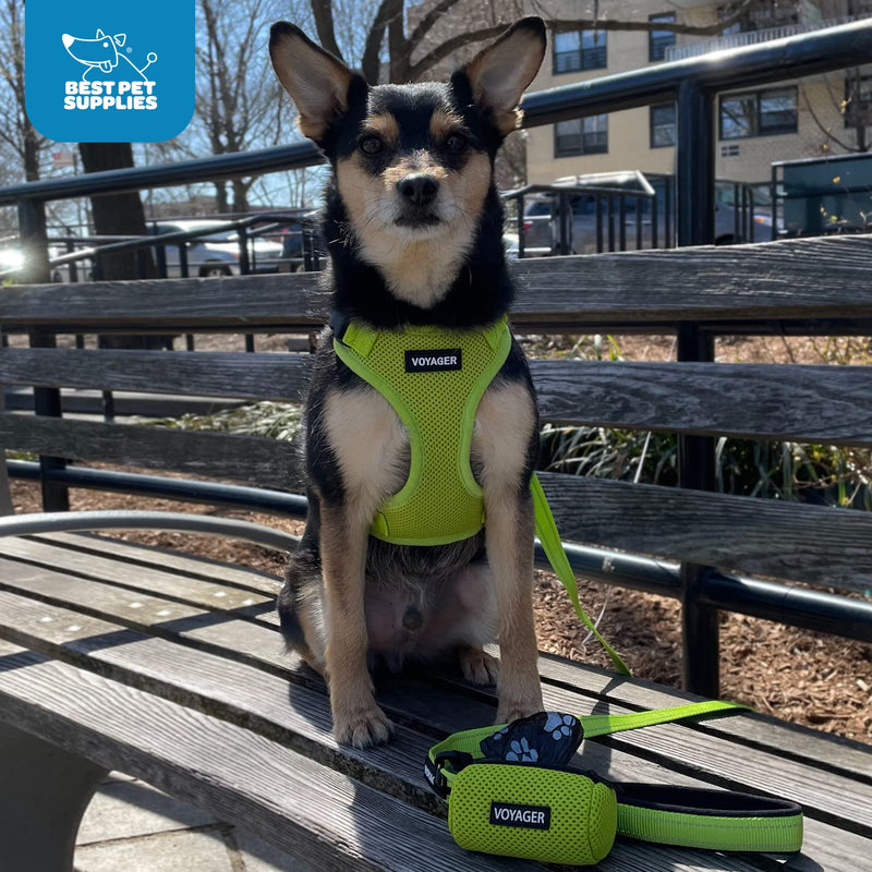 Best Pet Supplies Voyager Step-In Lock Pet Harness – All Weather Mesh, Adjustable Step in Harness for Cats and Dogs XXXS (Chest: 9 - 13" * Fit Cats) 1 Pink (\w Leash) - PawsPlanet Australia