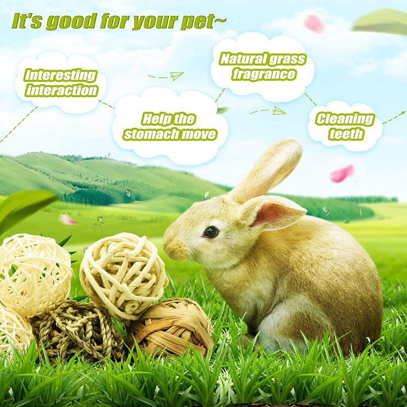 12 pieces chew balls, small animals chew toys, rabbit toys, grass ball, wicker ball toys for small animals, rabbit chew toys, rattan balls, dental care toys, grass toys for rabbits, hamsters, 4 x 3-12 pezzi - PawsPlanet Australia
