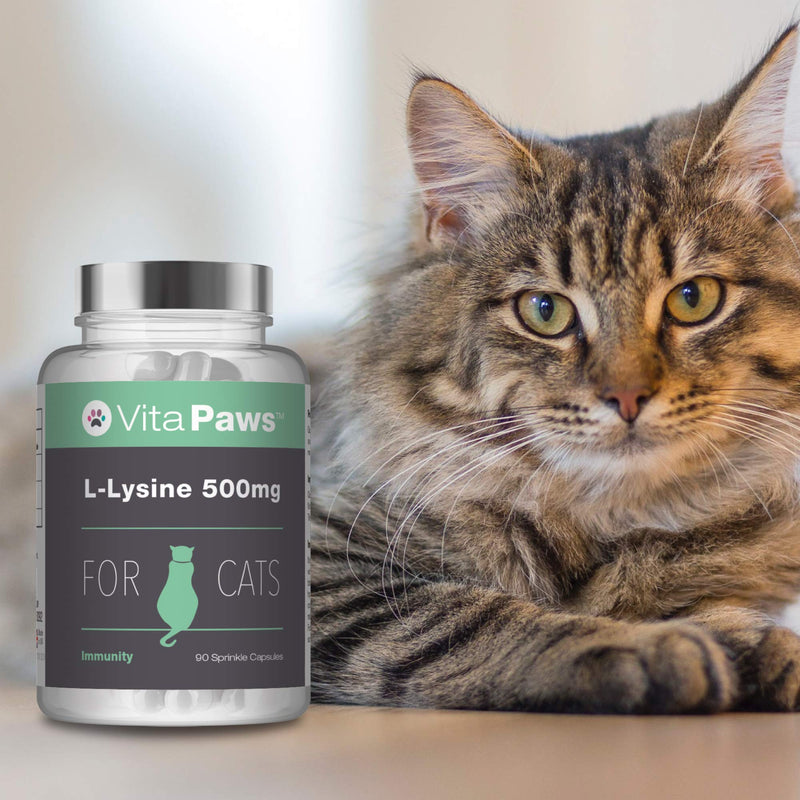 L-Lysine 500mg for Cats by VitaPaws™ | 90 Sprinkle Capsules | Popularly Chosen for Feline Immunity | 100% Money Back Guarantee | Manufactured in The UK - PawsPlanet Australia