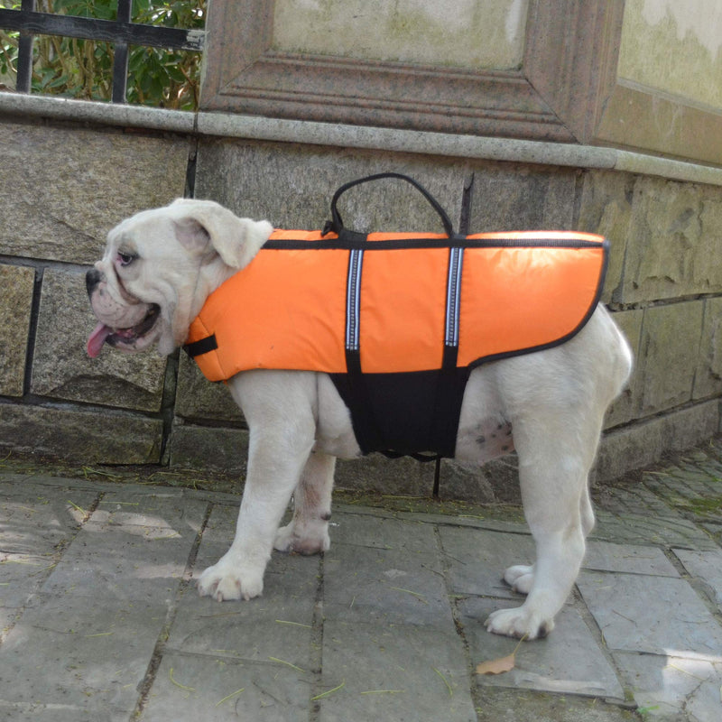 Lovelonglong Pet Clothing Dog Lifejacket Life Jackets for Large Medium Small Dogs Swimming Safe Boating Coat Dog Swim Protect Outwear XS (Rec.5-8 Pounds) Orange - PawsPlanet Australia