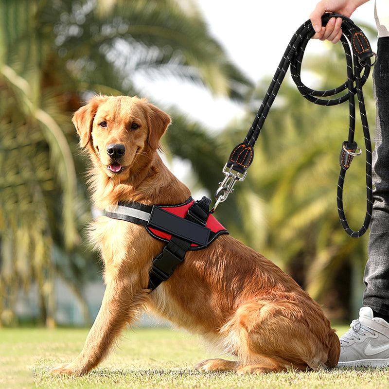 Dog leash 3 m adjustable for large and medium-sized dogs, adjustable double leash made of nylon with 2 carabiner hooks and 3 rings, dog leash 14 mm (black) - PawsPlanet Australia