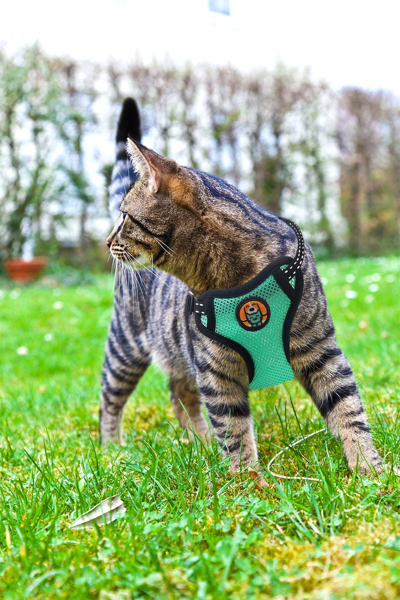 [Australia] - AWOOF Kitten Harness and Leash Escape Proof, Adjustable Cat Kitten Puppy Walking Jacket with Metal Leash Ring, Soft Breathable Small Pet Vest M(neck size: 6.1"-9.4", chest size: 8.26"-14.56") Green 