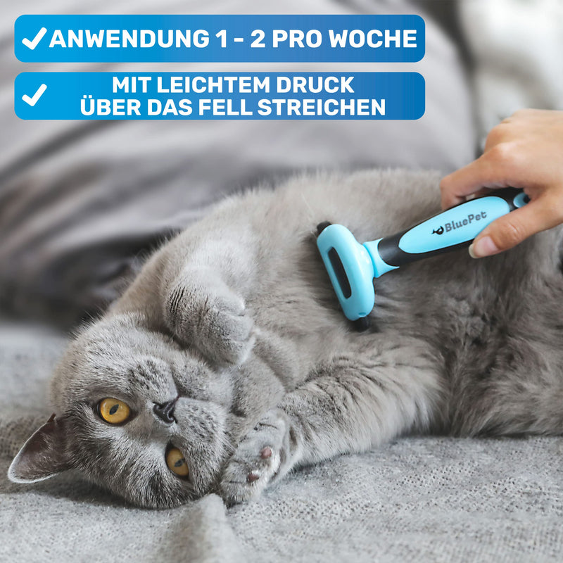 BluePet "UnterwollGlück" - Up to 90% less loose hair - Short hair dogs & cats brush ideal for changing fur - Removal of the undercoat & care of the top hair Blue - PawsPlanet Australia