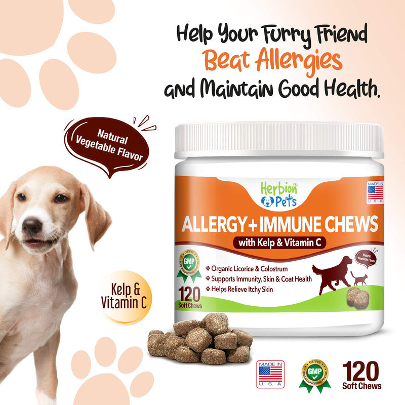 Herbion Pets Allergy + Immune Chews with Kelp & Vitamin C, 120 Soft Chews - Supports Immunity, Skin and Coat Health - Relieves Itchy Skin - Made in USA - Natural Vegetable Flavor - for Dogs 12 Weeks+ - PawsPlanet Australia
