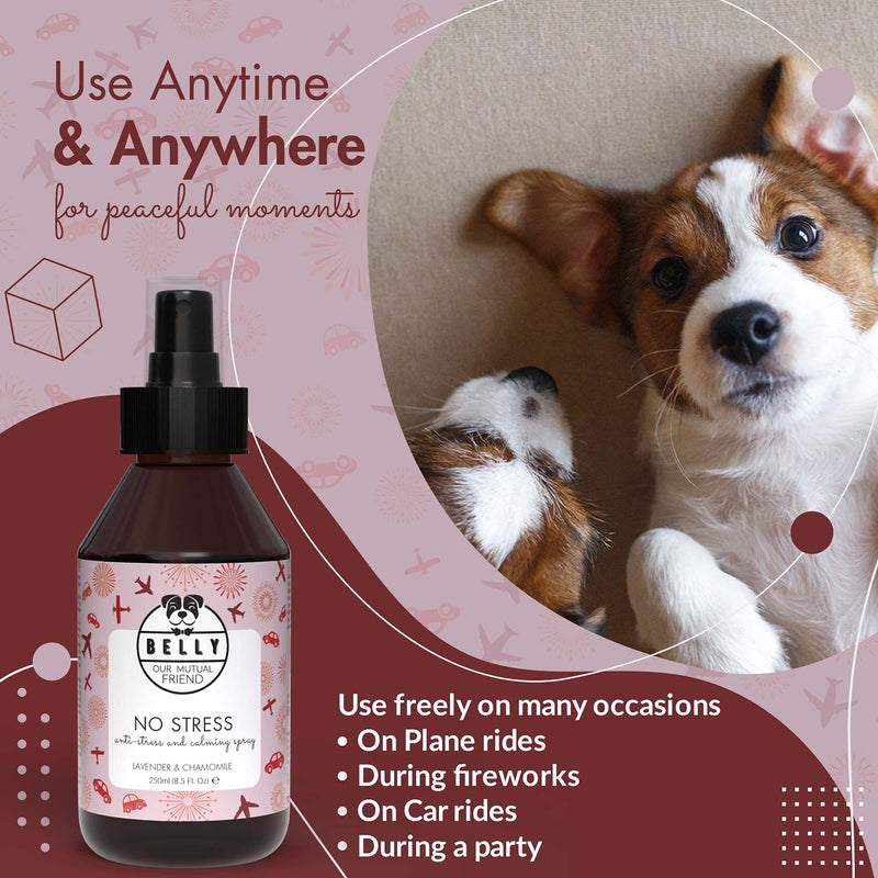 Belly Dog Anxiety Relief Spray - Pet Corrector Spray For Dogs & Puppies - All Natural Pet Remedy Spray & Dog Calming Spray For Dog Anxiety - Dog Calming Products, Nervous Dog Products, 250 ml - PawsPlanet Australia