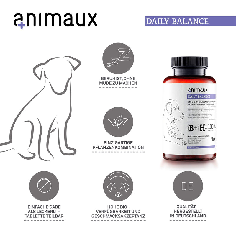 animaux daily balance – German Calming Supplement for dogs I Support in Stress & Anxiety related to Car Travel, Vet Visits, Loud Noises, Separation & Aggression I Natural Pet Remedy for nervous dogs - PawsPlanet Australia