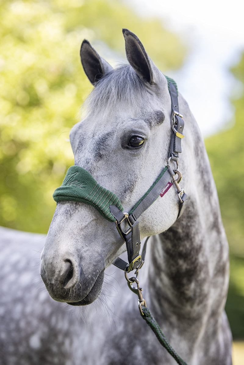 LeMieux Vogue Fleece Headcollar with Lead Rope - Extra Padding, Adjustable at Curb and Poll Strap Full Hunter Green - PawsPlanet Australia