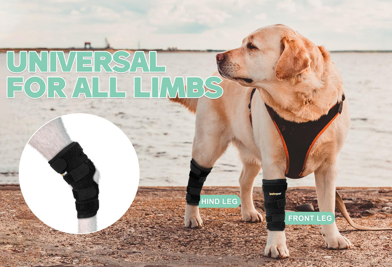 Lyderpet Dog Leg Brace for Rear Hock Joint, Compression Wrap Strong Support Back Leg for Canine Torn Acl & Ccl, Hind Ankle Injury and Sprain Heals, Keeps Warm and Stability for Arthritis (M) - PawsPlanet Australia