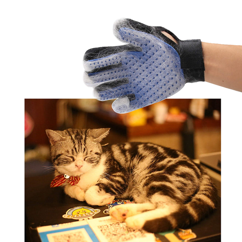 Eco-Fused Brush Kit for Cats - 1x Cat Self Groomer, 1x Blue Slicker Brush, 1 Pet Grooming Glove (Right Hand) - Long and Short Fur - DIY Grooming Tools for Pets - Pet Mitt, Wide Comb and Corner Groomer - PawsPlanet Australia