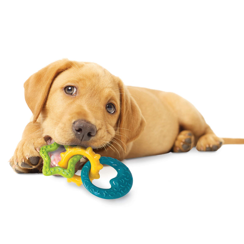 [Australia] - Nylabone Puppy Chew Teething Rings Chew Toy 