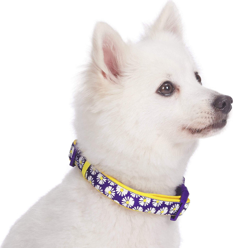 Blueberry Pet 10+ Patterns Soft & Comfy Flower Print Neoprene Padded Dog Collars Collar - Small Daisy - PawsPlanet Australia