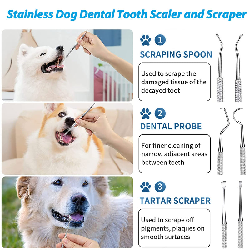 3 Pack Dog Dental Tooth Tool Plaque Remover For Teeth, Stainless Steel Dental Calculus Plaque Remover Tool Kit, Calculus Remover Dental Plaque Removal for Dogs and Cats - PawsPlanet Australia