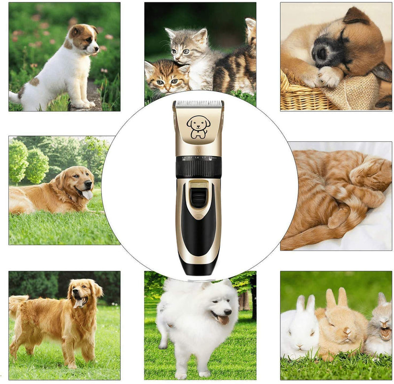 Qingxian Dog Clippers Pet Grooming Clipper Kits Low Noise Rechargeable Cordless Quiet Cat Dog Groomer Tool Professional Hair Trimmer Razor Blades with Combs, Scissor - PawsPlanet Australia