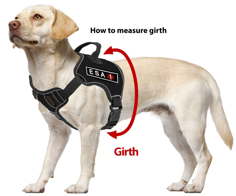 [Australia] - Dogline Quest No-Pull Dog Harness with 3D Rubber ESA Removable Patches Reflective Soft Comfortable Dog Vest with Quick Release Dual Buckles Black Hardware and Handle Girth 25" to 31" 