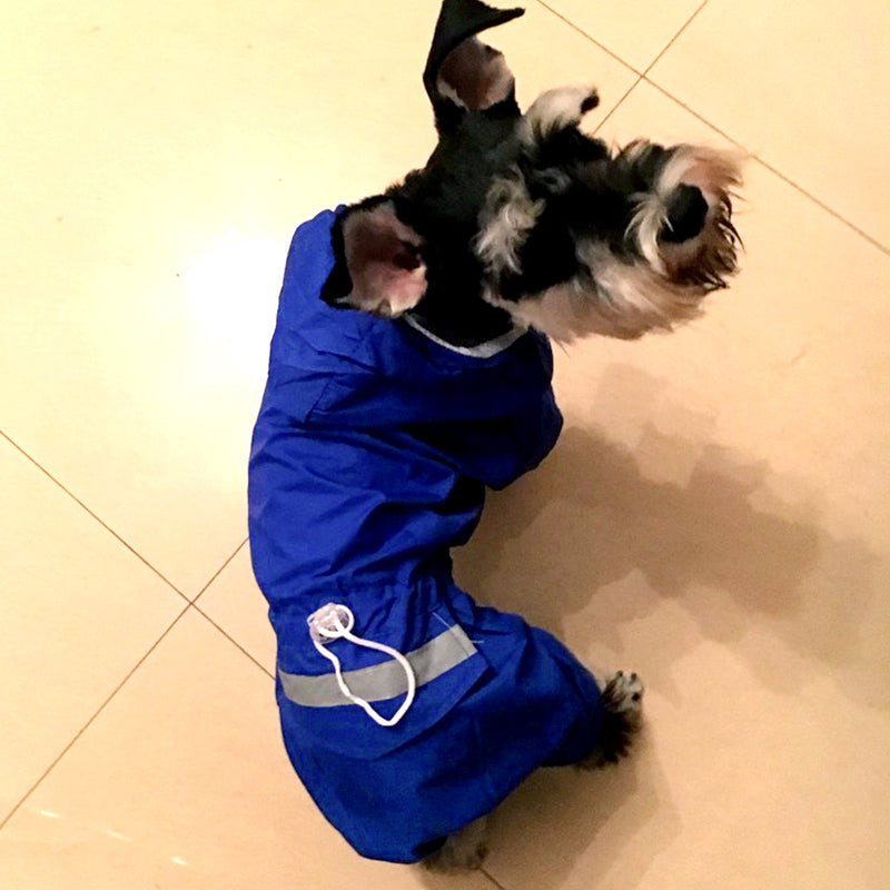 [Australia] - Alfie Pet - Willis Rainy Days Waterproof Raincoat (for Dogs and Cats) Medium Blue 