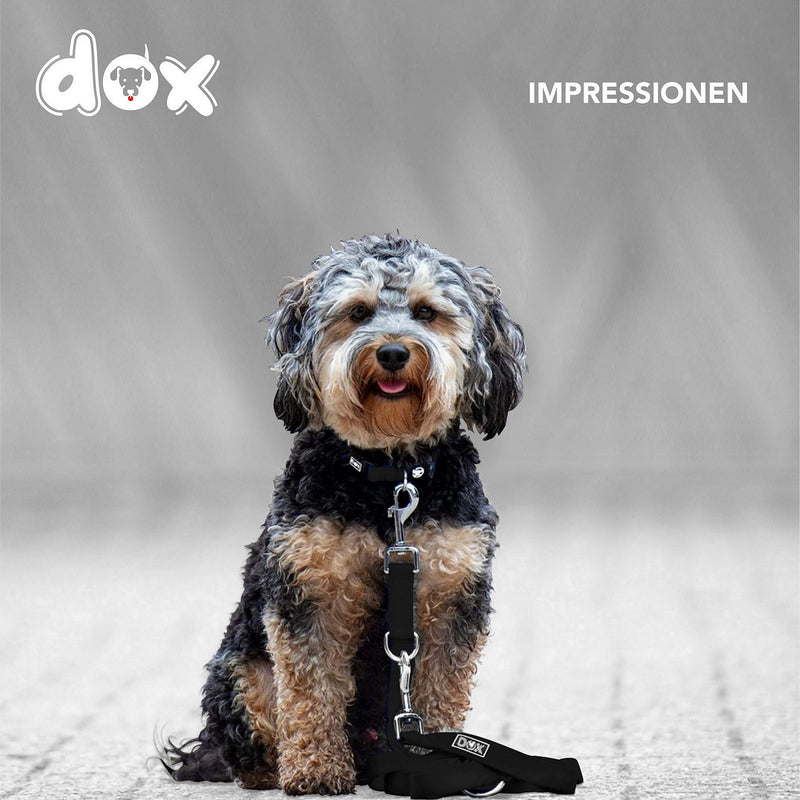 DDOXX dog leash nylon, 3-way adjustable, 2m | for small & large dogs | Double Leash Two Dog Cat Puppy | Towing leash large | Lead leash small | Running leash puppy leash | M, Black M - 2.0 x 200 cm - PawsPlanet Australia